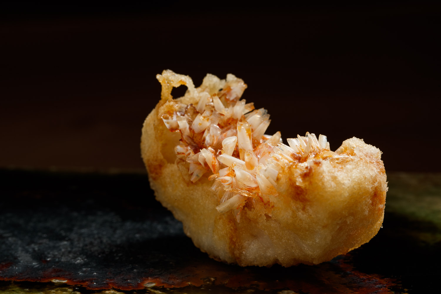 Tempura Naruse gallery #2