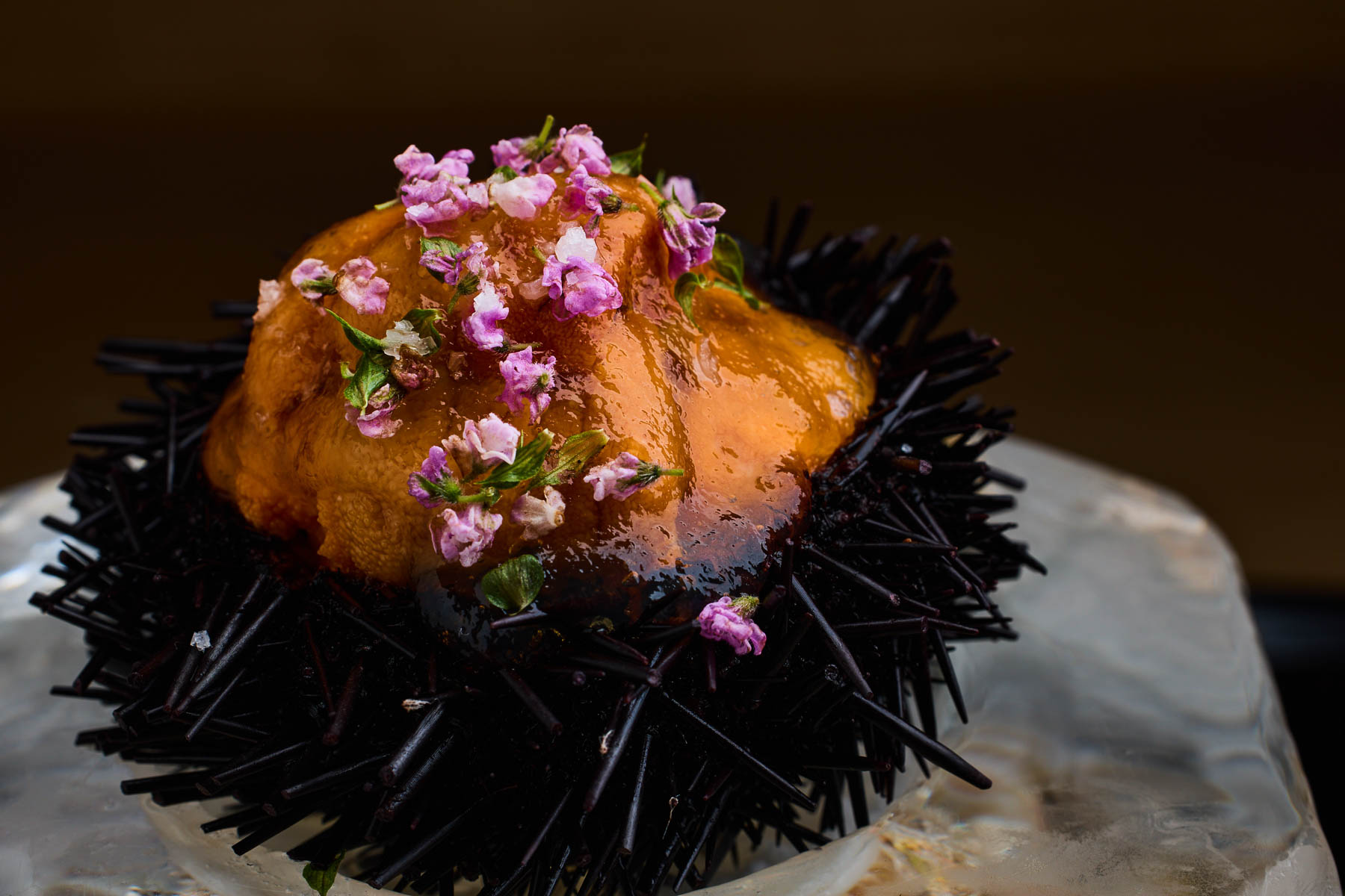 Gion Nishikawa gallery #0