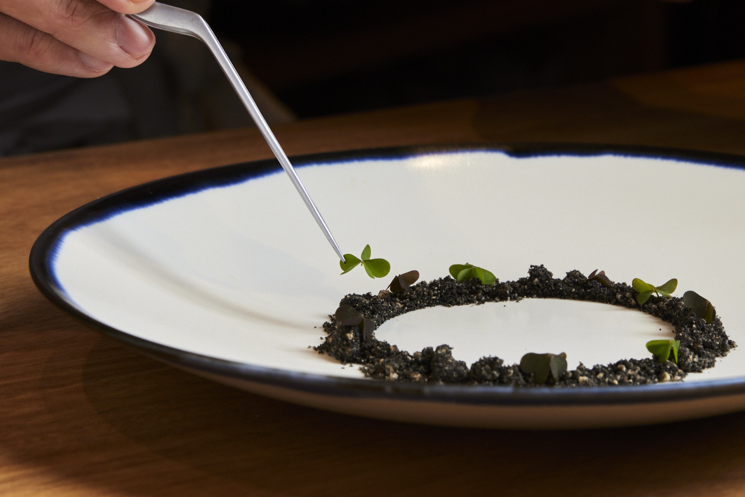 Syn cuisine #0