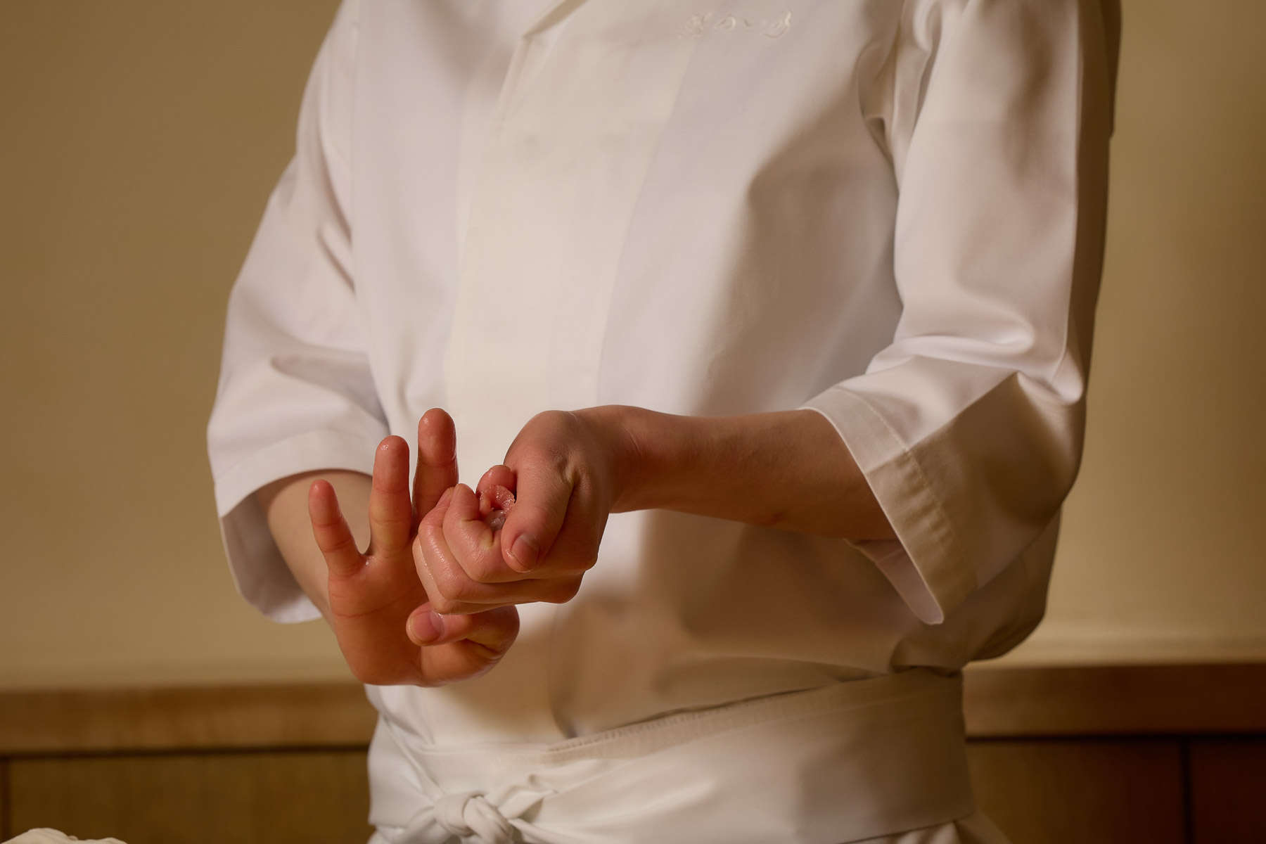 Sushi Meino cuisine #1